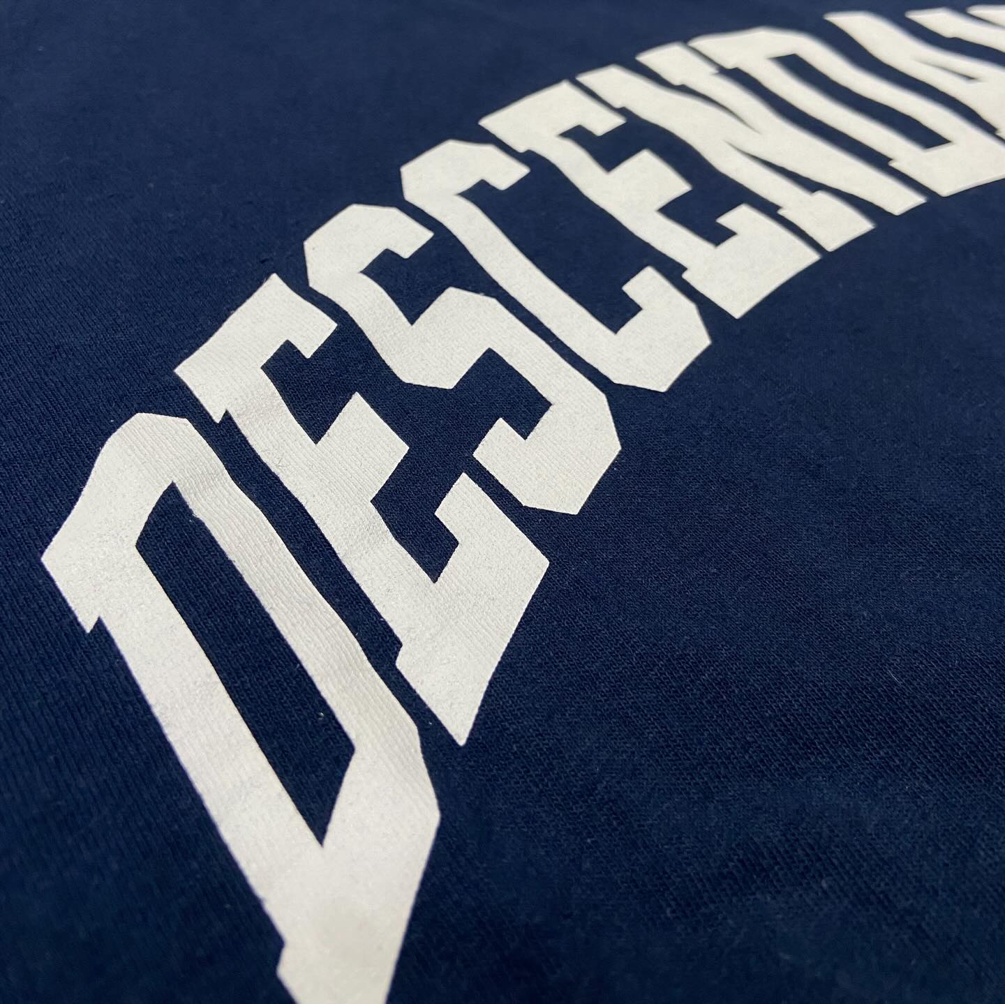 Descendant Team Tee Navy (Display Item)