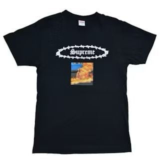 Supreme SS17 Eternal Tee