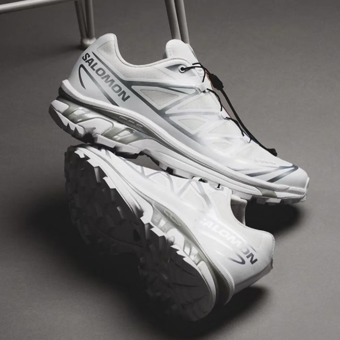 Salomon XT-6 GTX White Silver 474506 GoreTex 白銀