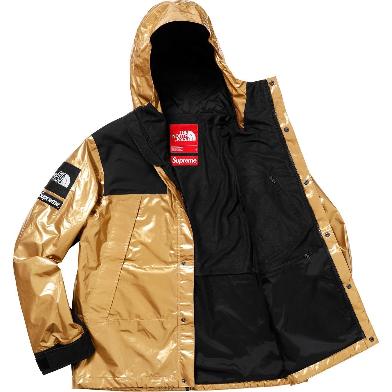 Supreme x The North Face TNF SS18 Metallic Mountain Parka Jacket