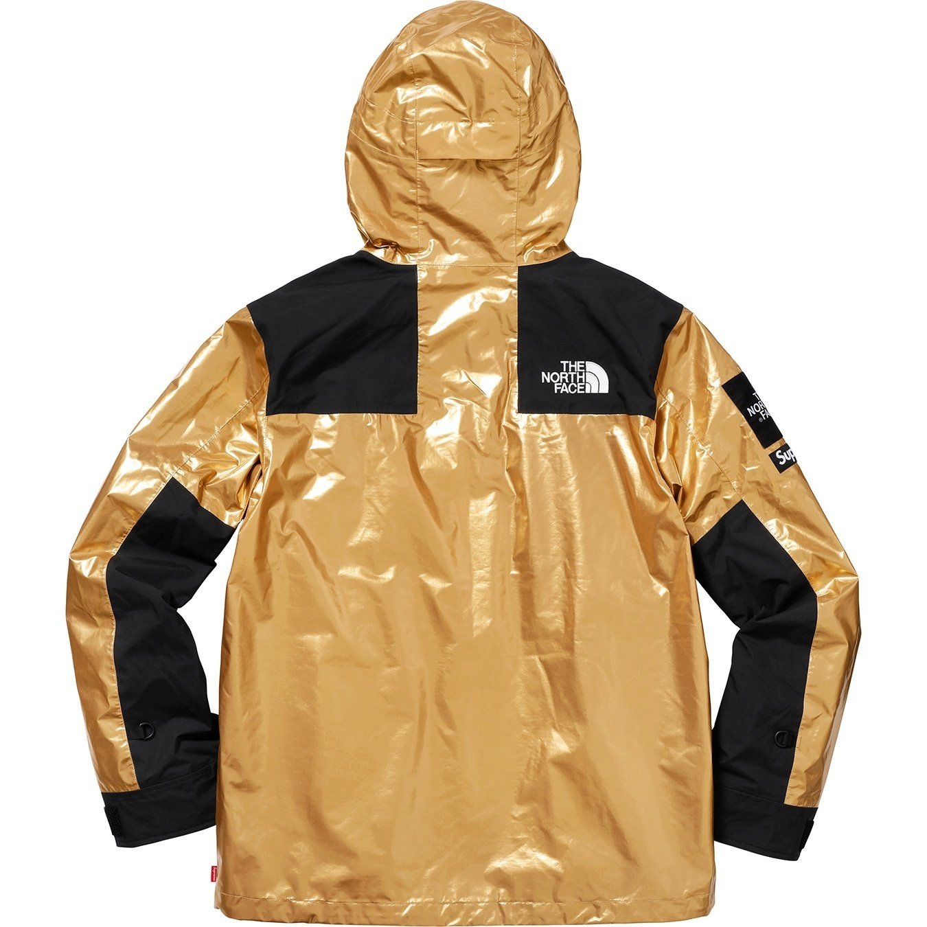 Supreme x The North Face TNF SS18 Metallic Mountain Parka Jacket