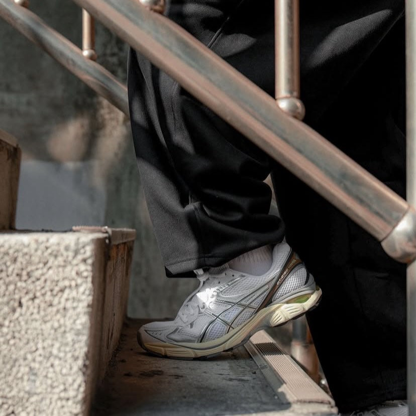Preorder 預訂 Asics GT-2160 Cream White Silver 1203A275-111
