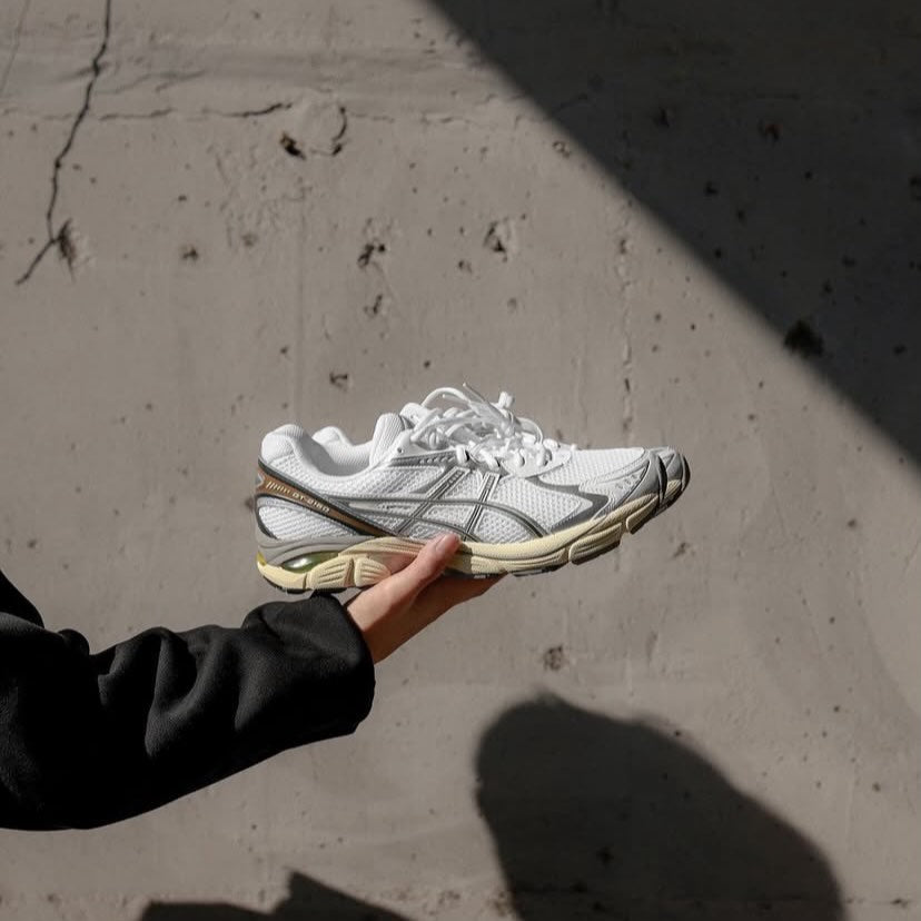 Preorder 預訂 Asics GT-2160 Cream White Silver 1203A275-111