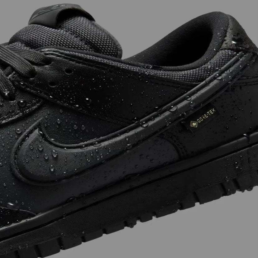 Preorder 預訂 Nike Dunk Low Goretex “Black” HQ2053-001