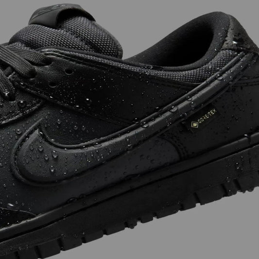 Preorder 預訂 Nike Dunk Low Goretex “Black” HQ2053-001