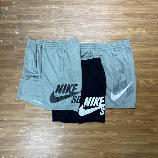 Nike SB Logo Dry Shorts