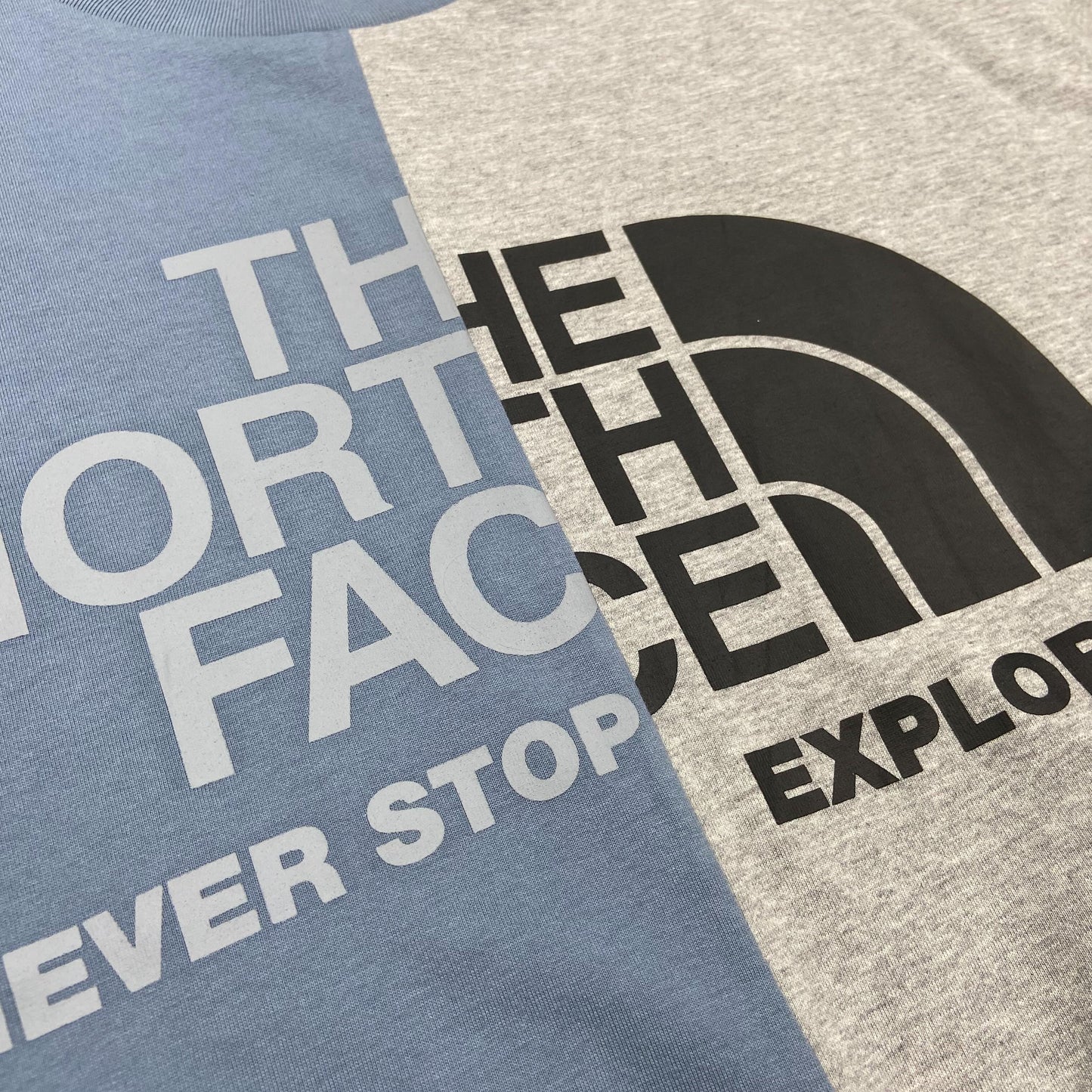 THE NORTH FACE PATCHED LANE S/S TEE