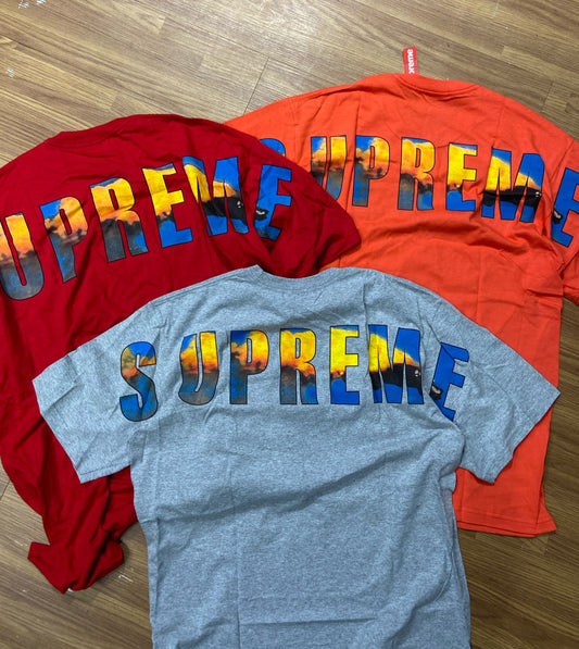 Supreme Crash Tee Red Orange Grey