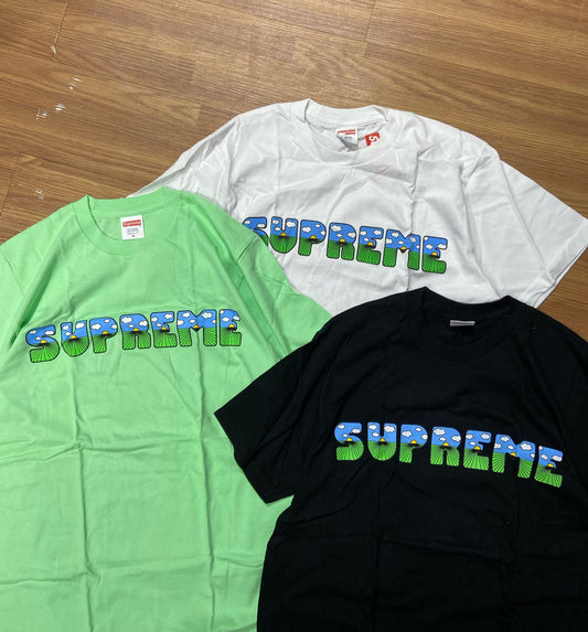 Supreme The Shit Tee Black White Mint
