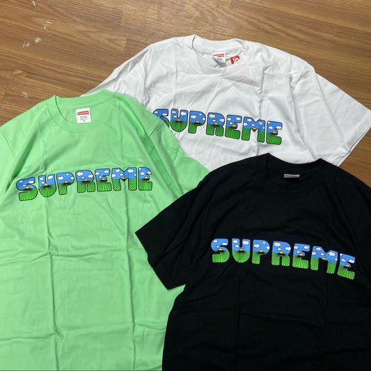 Supreme SS16 The Shit Tee