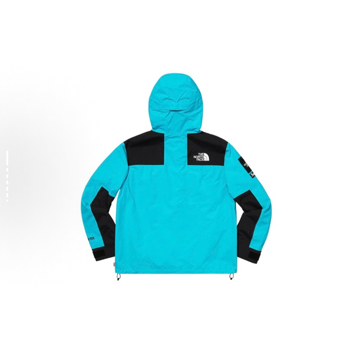 Supreme x The North Face TNF SS19 ARC Logo Mountain Parka Jacket Teal Gore-Tex 防風防水沖鋒衣 藍色