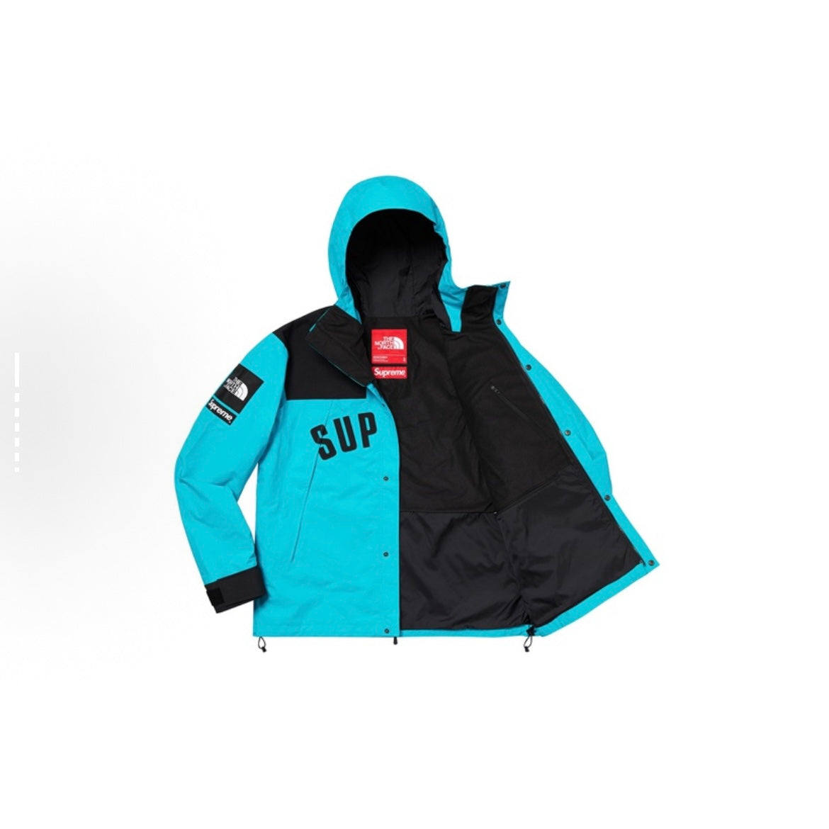 Supreme x The North Face TNF SS19 ARC Logo Mountain Parka Jacket Teal Gore-Tex 防風防水沖鋒衣 藍色