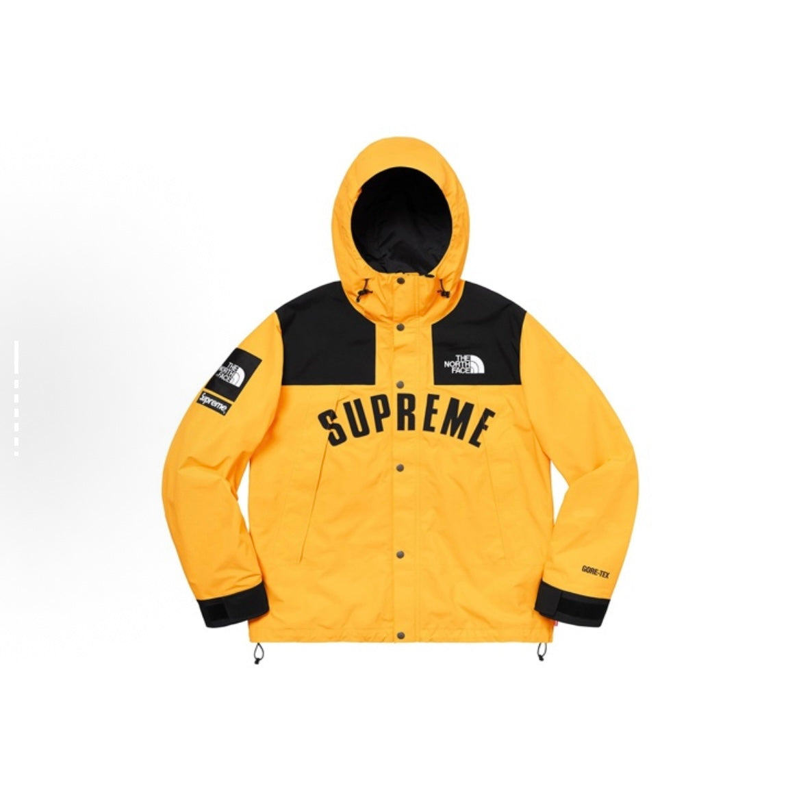 Supreme x The North Face TNF SS19 ARC Logo Mountain Parka Jacket Yellow Gore-Tex 防風防水沖鋒衣 黃色