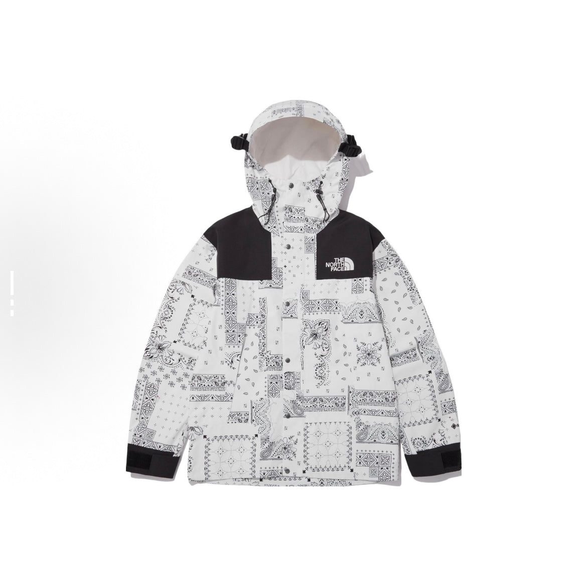 The North Face TNF 1990 Novelty ECO Gore-Tex Mountain Jacket Parka White Bandana NJ2GN60C 白色 腰果花 防水防風外套 GTX Goretex