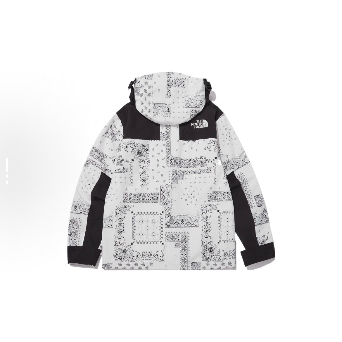 The North Face TNF 1990 Novelty ECO Gore-Tex Mountain Jacket Parka White Bandana NJ2GN60C 白色 腰果花 防水防風外套 GTX Goretex
